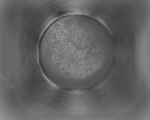 X0000056341476200509091517