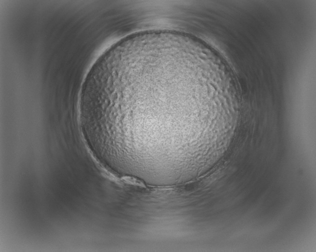 X0000056341477200509091517