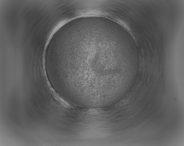 X0000056341480200509091517