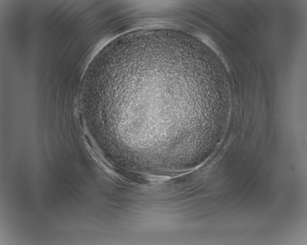 X0000056341481200509091517