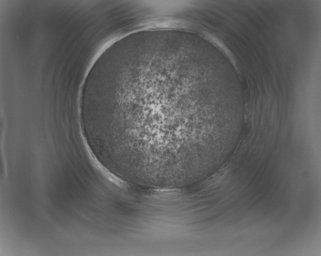 X0000056341483200509091517
