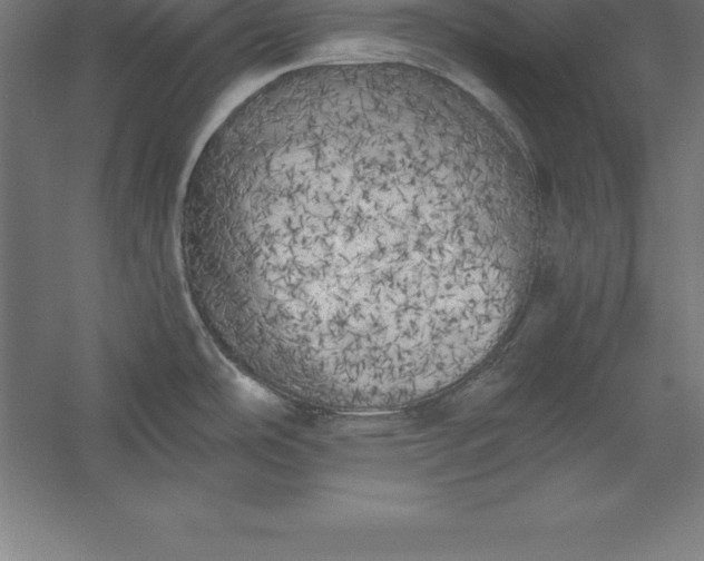 X0000056341486200509091517
