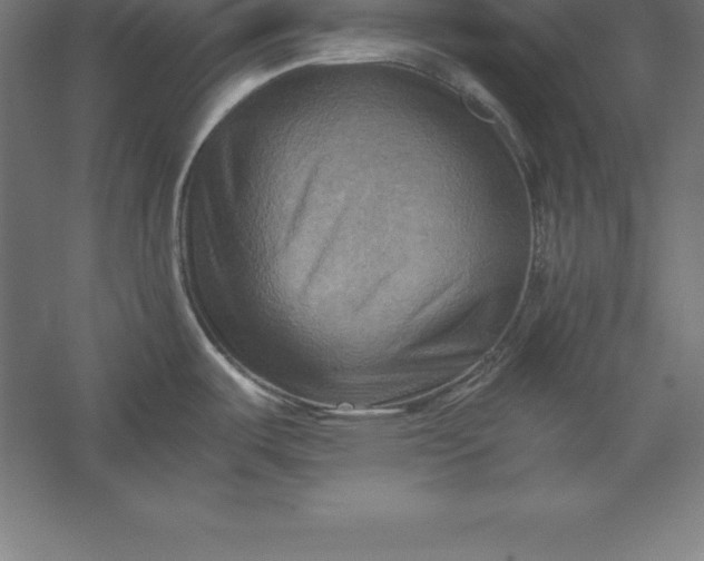 X0000056341487200509091517