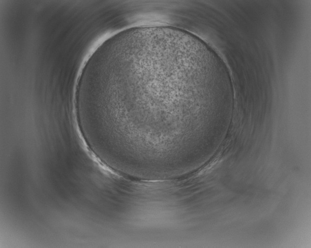 X0000056341488200509091517