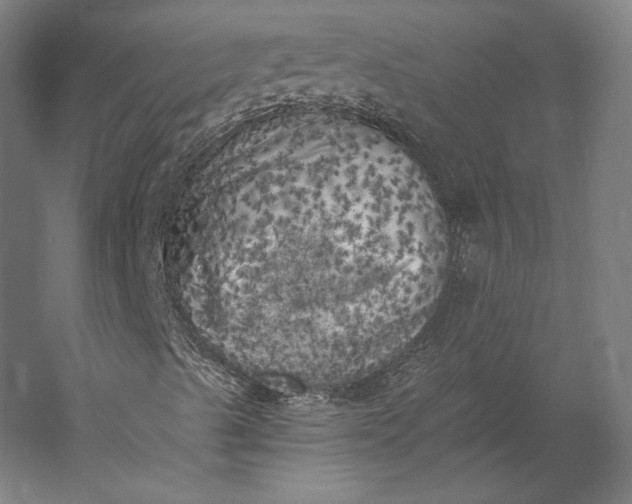 X0000056341489200509091516