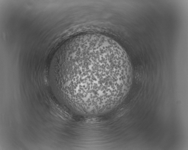 X0000056341490200509091516