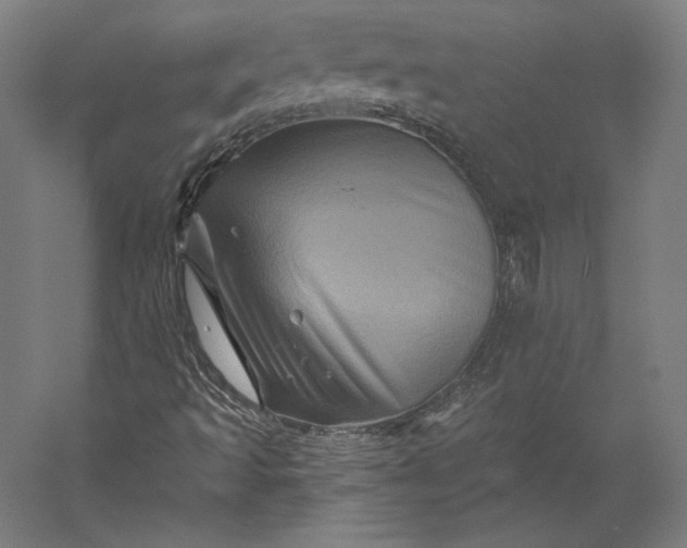 X0000056341493200509091516