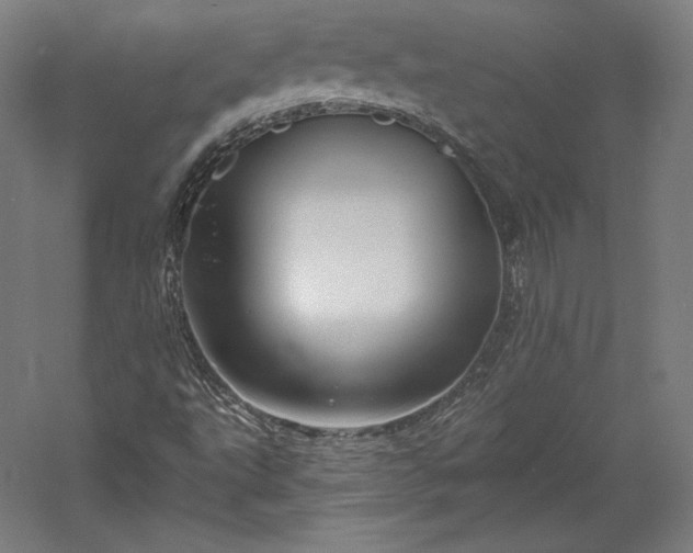 X0000056341495200509091516
