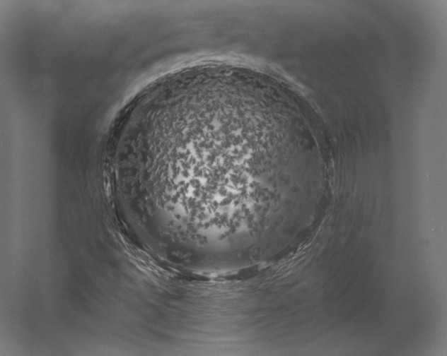 X0000056341496200509091516