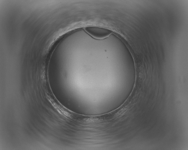 X0000056341499200509091516