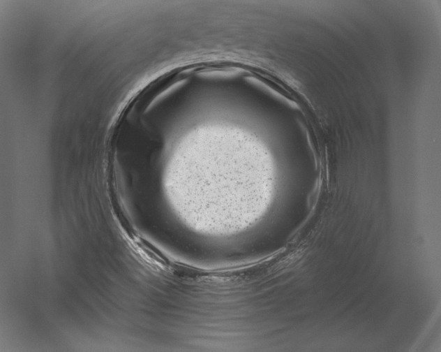 X0000056341500200509091516