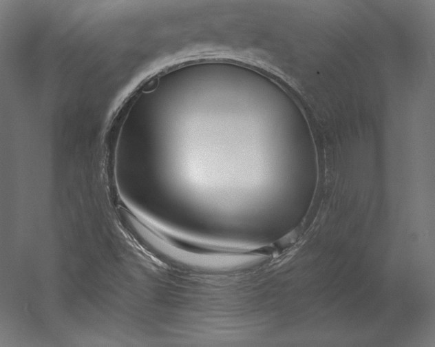 X0000056341502200509091516