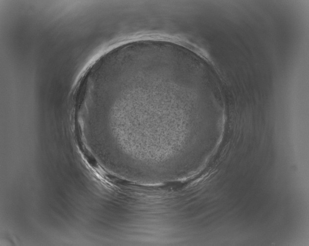 X0000056341504200509091516