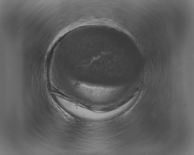 X0000056341506200509091516