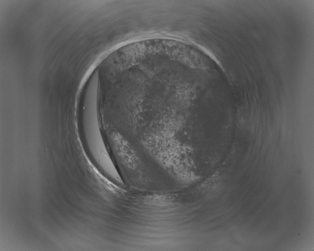 X0000056341508200509091516