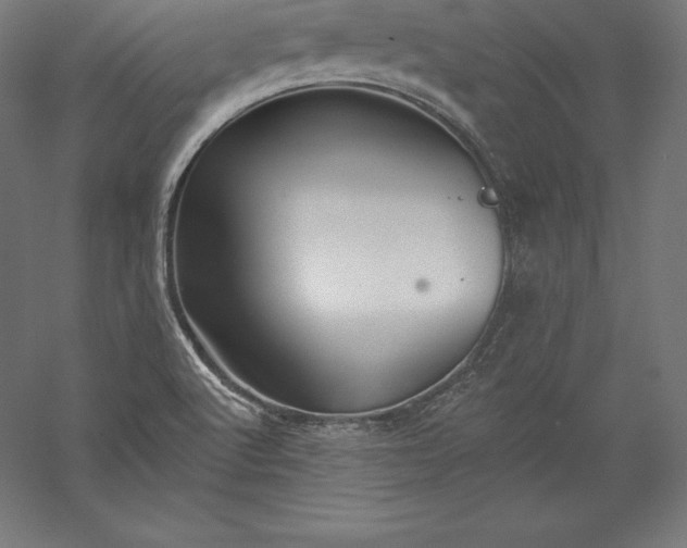 X0000056341512200509091516