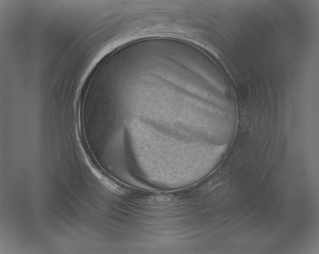 X0000056341515200509091517