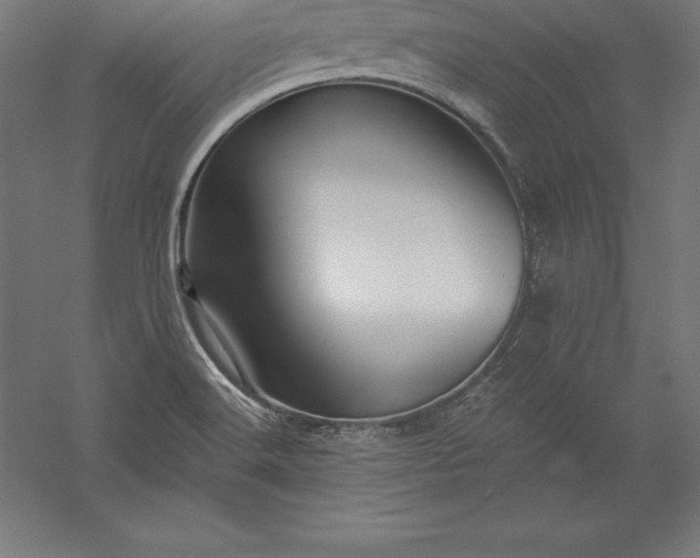 X0000056341516200509091517