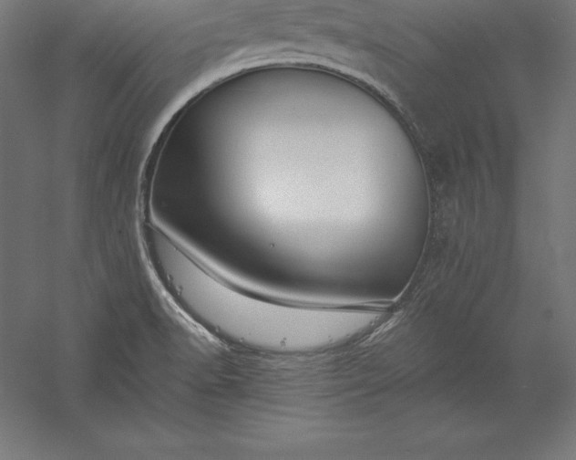 X0000056341518200509091517