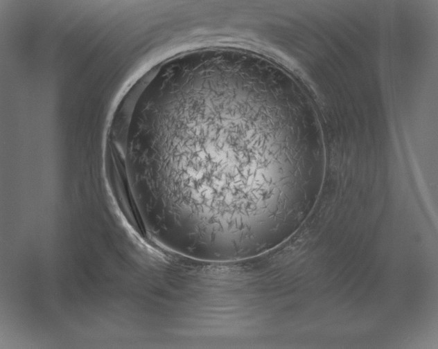 X0000056341520200509091517