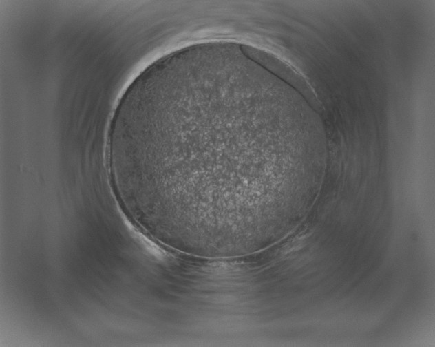 X0000056341527200509091517