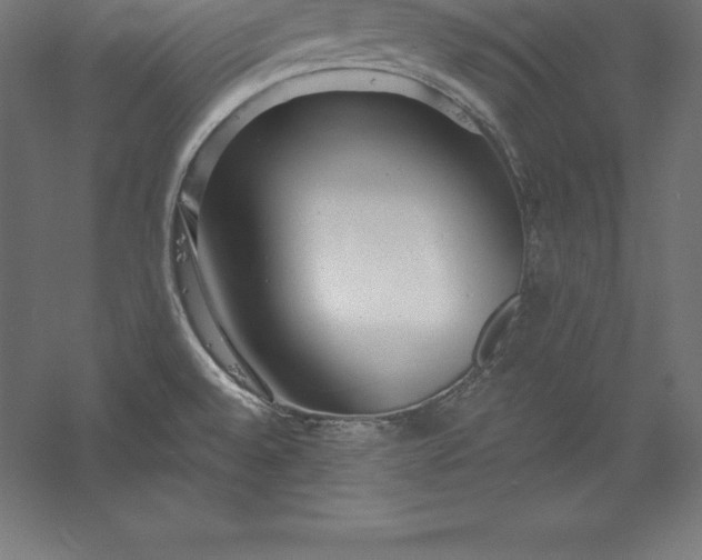 X0000056341528200509091517