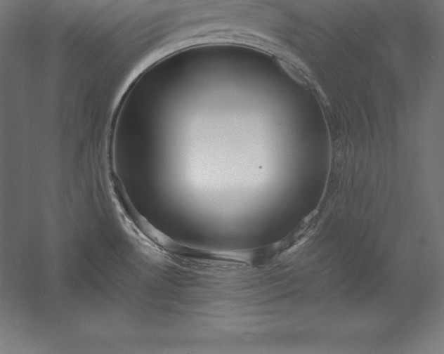 X0000056341530200509091517