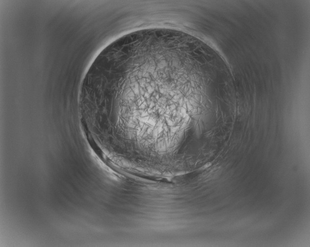 X0000056341532200509091517