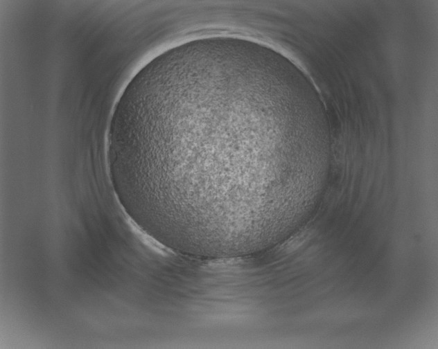 X0000056341535200509091517