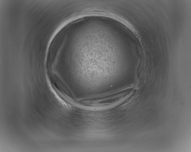 X0000056341536200509091517