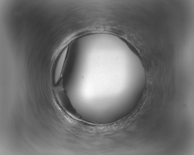 X0000056340005200509161748