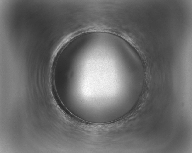 X0000056340007200509161748