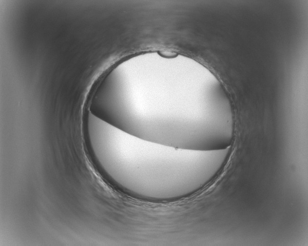 X0000056340008200509161748