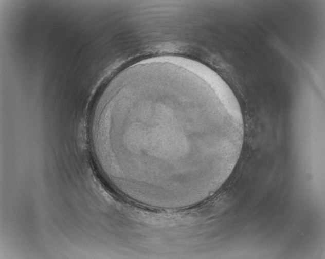 X0000056340012200509161748