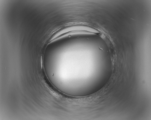 X0000056340013200509161748