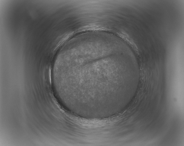 X0000056340014200509161748