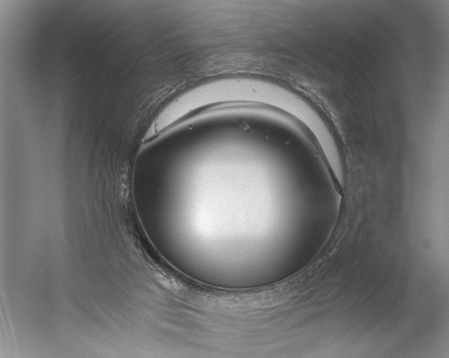 X0000056340017200509161748