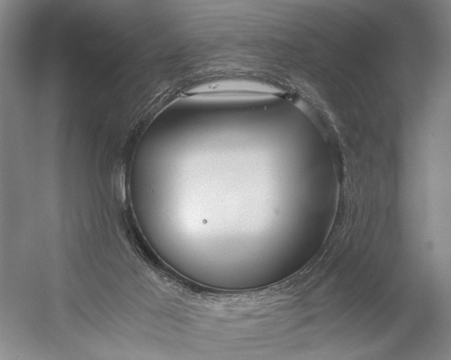X0000056340021200509161747