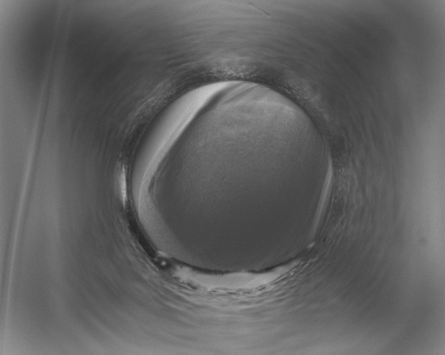 X0000056340027200509161747