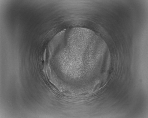 X0000056340029200509161747