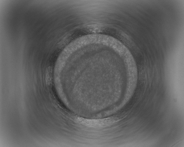 X0000056340030200509161747