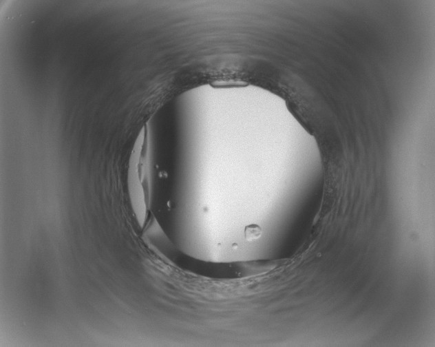 X0000056340037200509161747