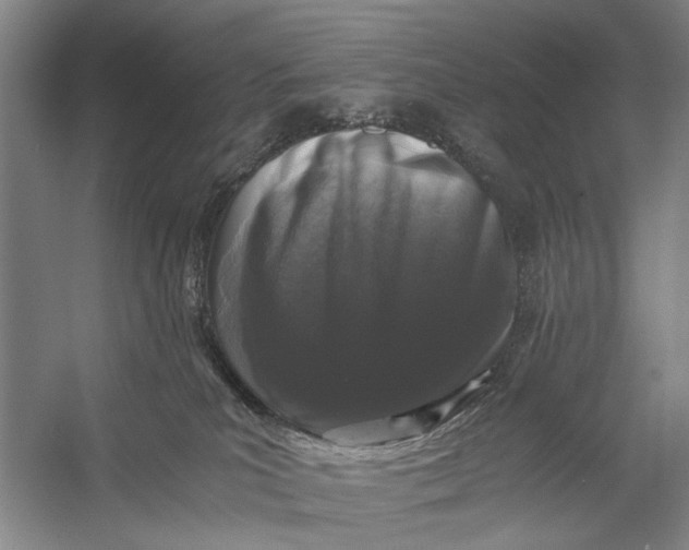 X0000056340039200509161747