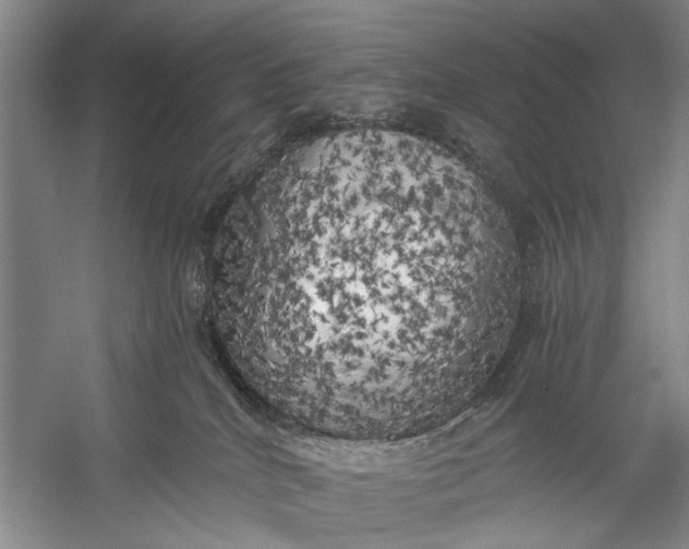 X0000056340040200509161747
