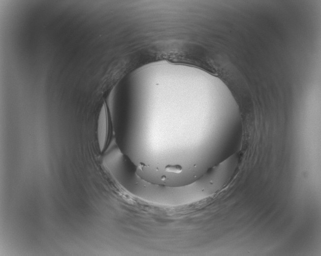 X0000056340041200509161747