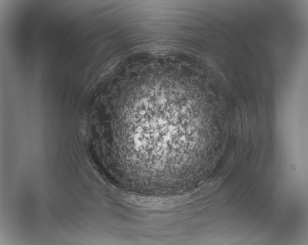 X0000056340044200509161747