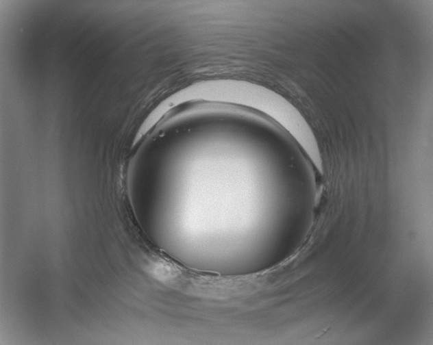 X0000056340045200509161747
