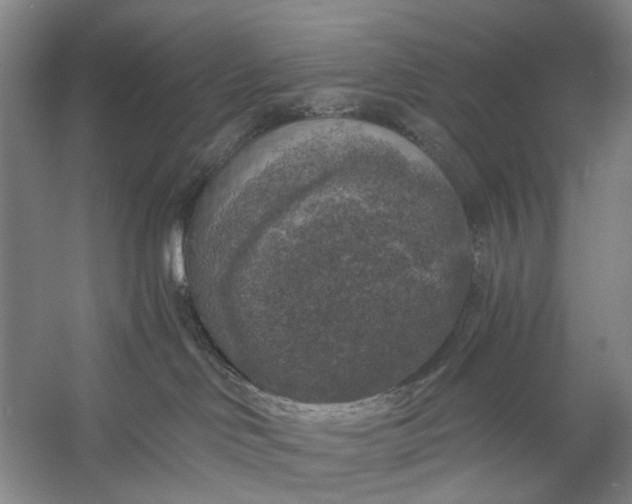 X0000056340046200509161747