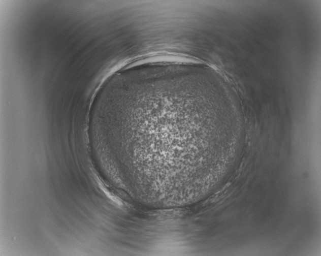 X0000056340050200509161746