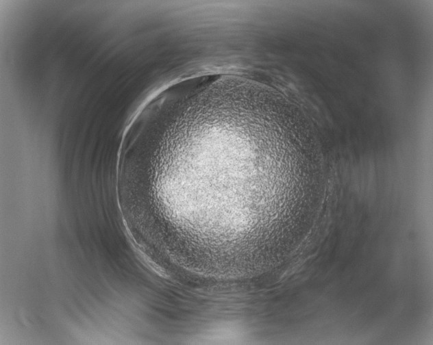 X0000056340052200509161746